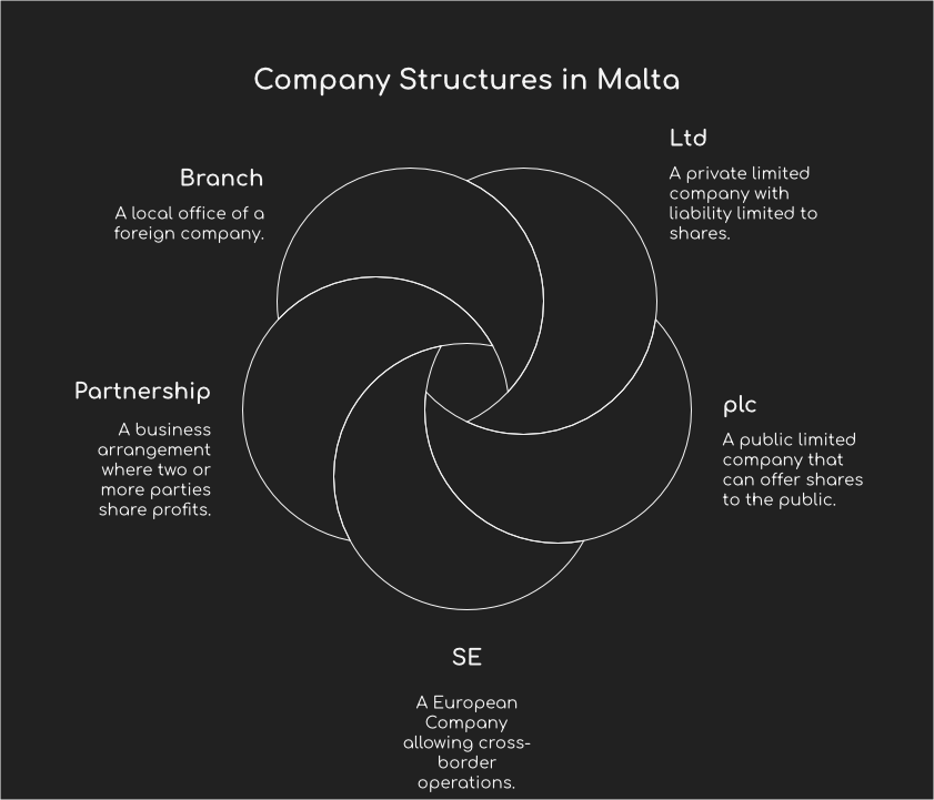 Different types of companies you can form in Malta, including Ltds, plcs, SEs, partnerships, and branches.